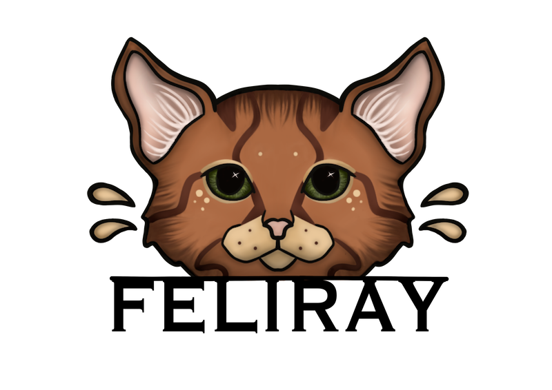 FeliRay's final logo